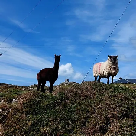 Kings Nyaraló Ballyconneely